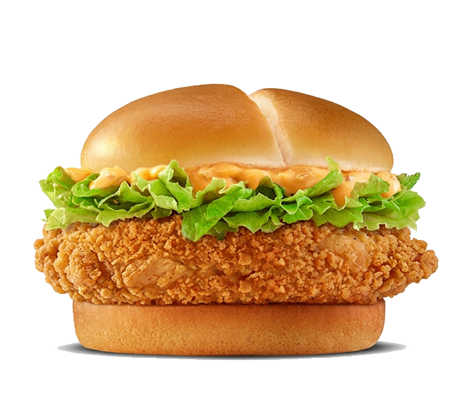MAG Crispy Veggie Burger